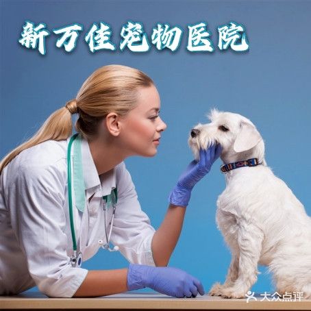新万佳宠物医院