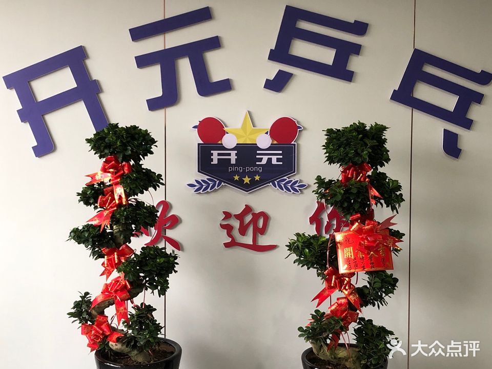开元乒乓球