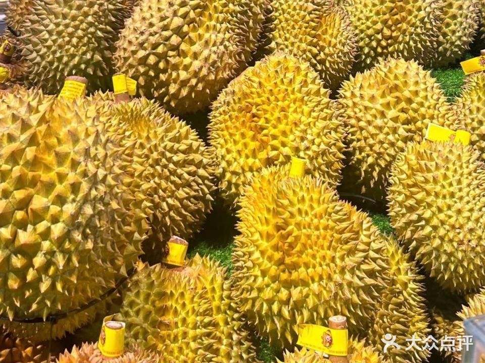 木可超级果蔬