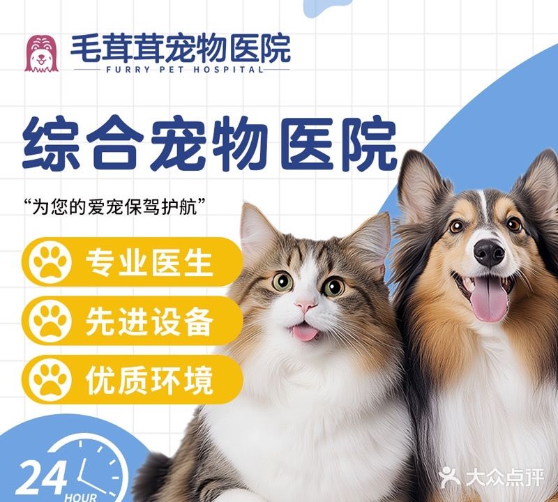 毛茸茸宠物医院