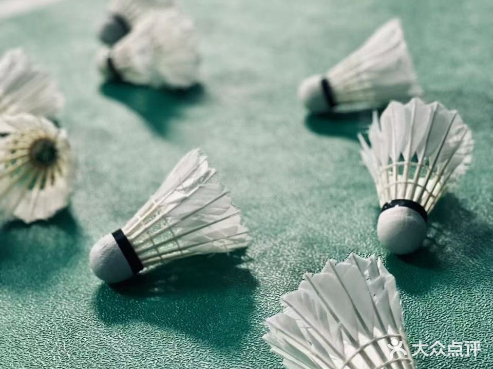 鑫羽羽毛球健身运动馆