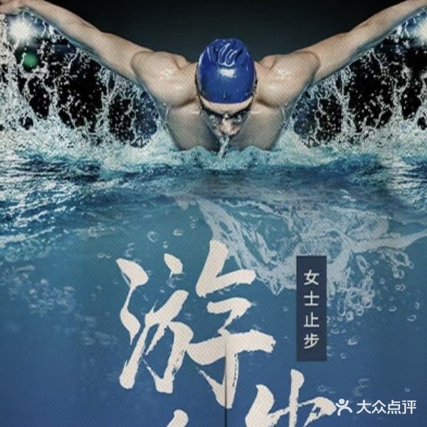 飞鱼游泳俱乐部