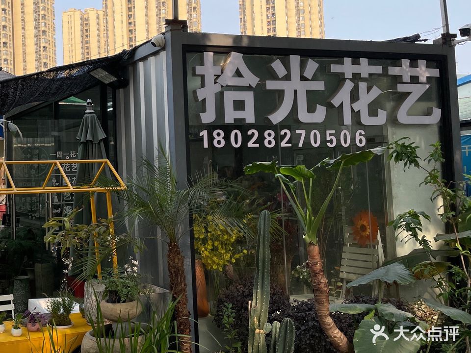 绿植鲜花(拾光园艺总部基地寰宇汇金)