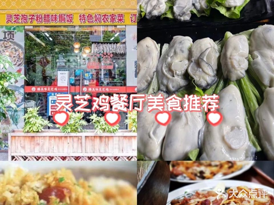 臻美味灵芝鸡(普君新城步行街店)