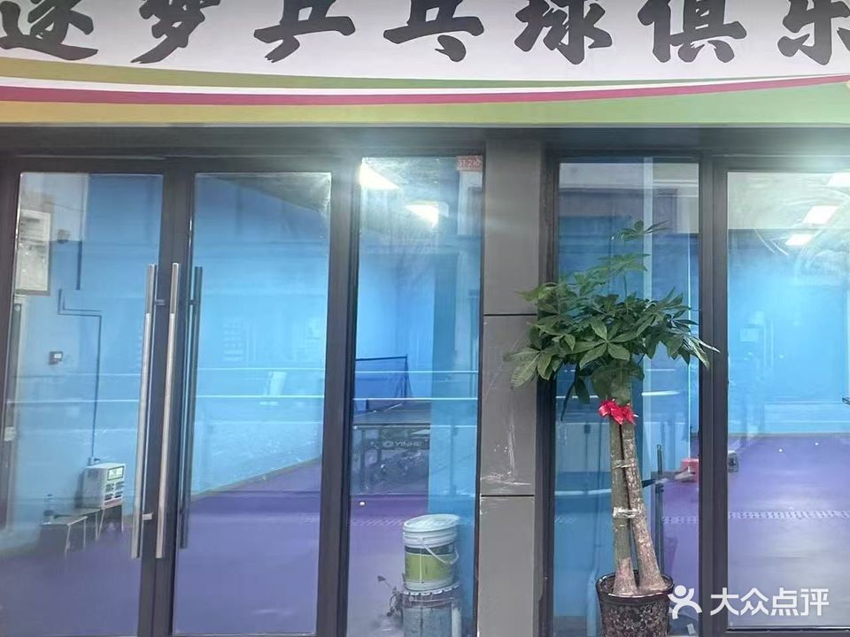逐梦乒乓球俱乐部(安庆弘阳广场店)
