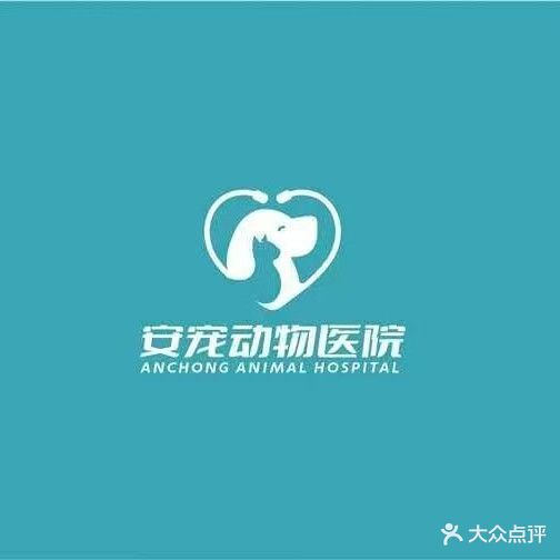 安宠动物医院