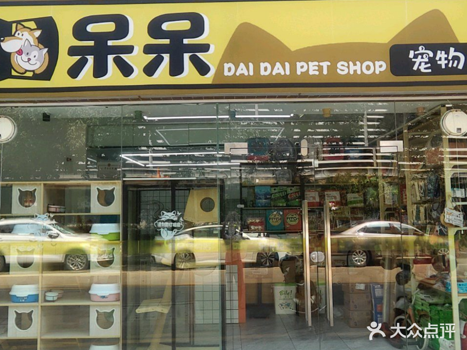 呆呆宠物店