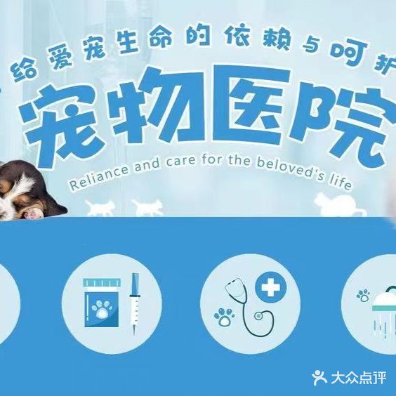 芯仪宠物诊所
