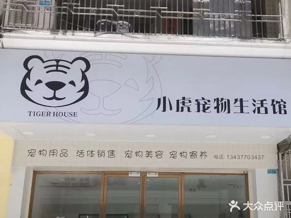 小虎宠物生活馆