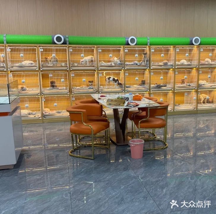 萌宠宠园·精品猫狗售卖·犬舍猫舍宠物繁育销售