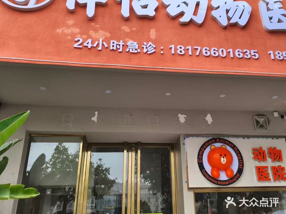 伴侣动物医院(广场东路店)