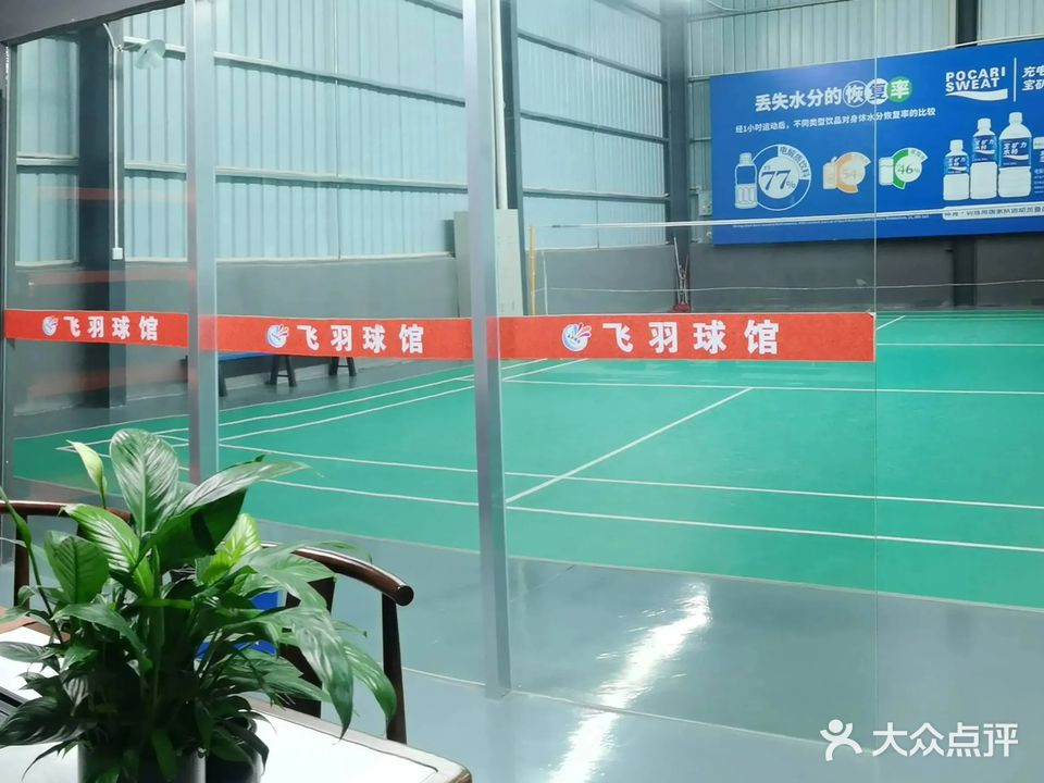 飞羽球馆