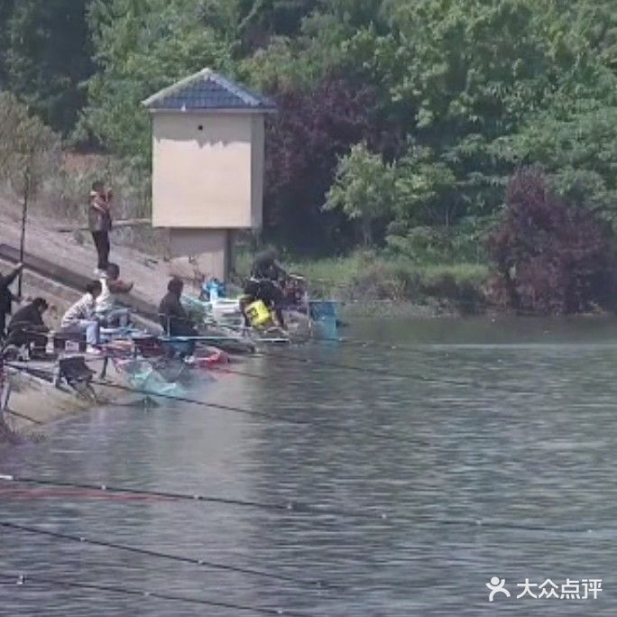 大桥湾水库生态养殖基地鱼虾垂钓中心