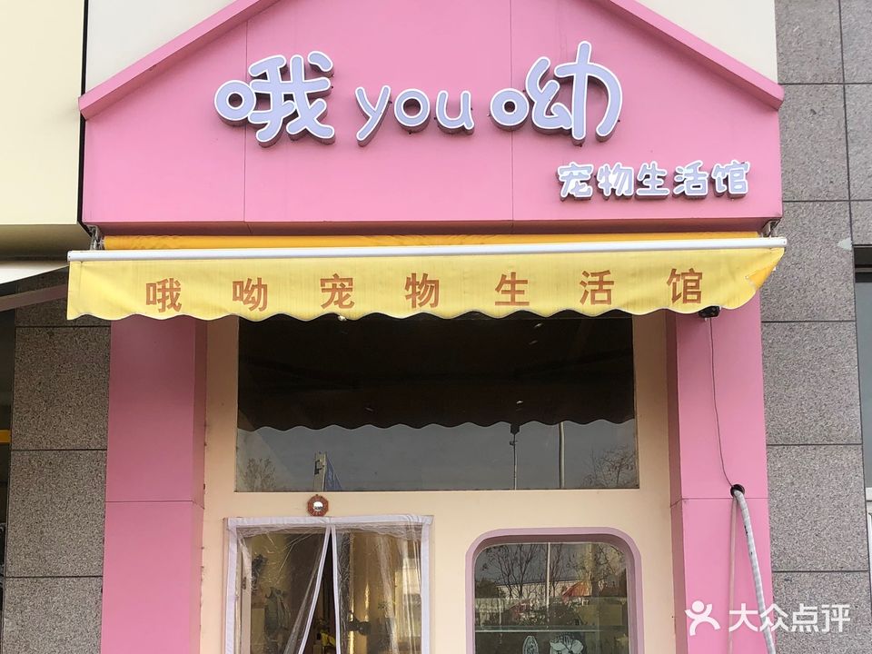 哦呦宠物生活馆