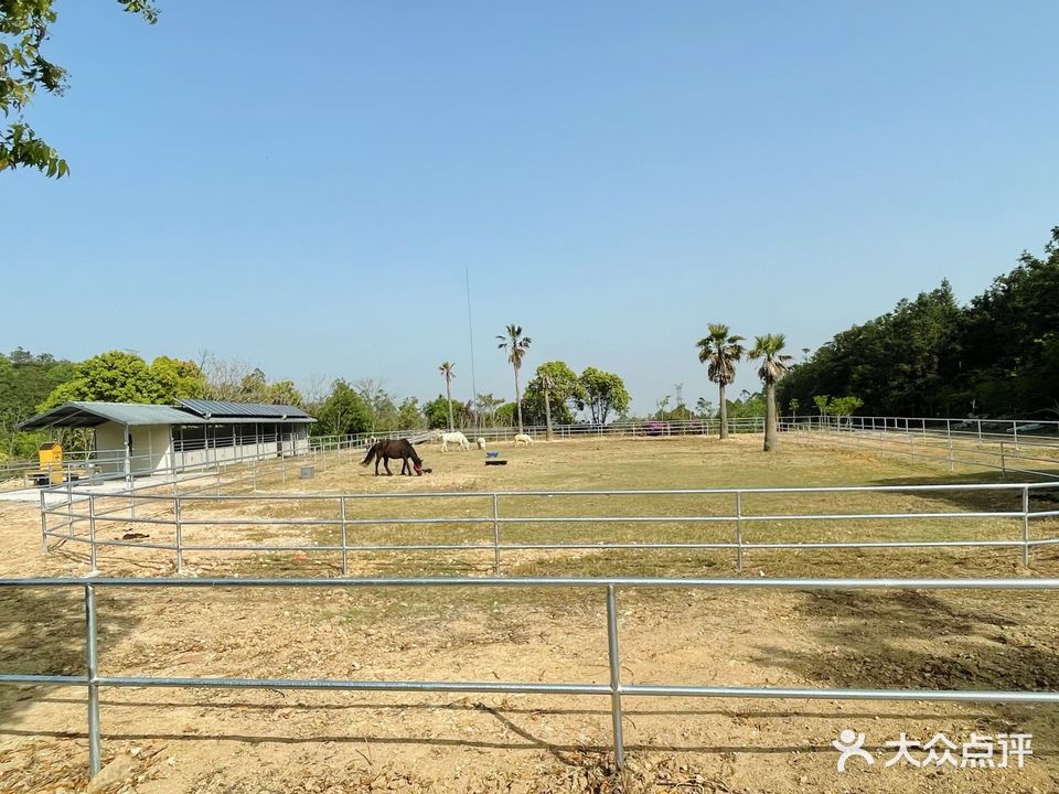 莆田马术俱乐部