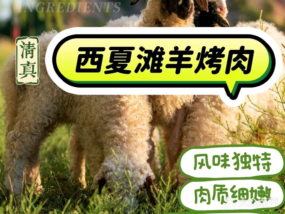 清真·西夏滩羊火锅烧烤