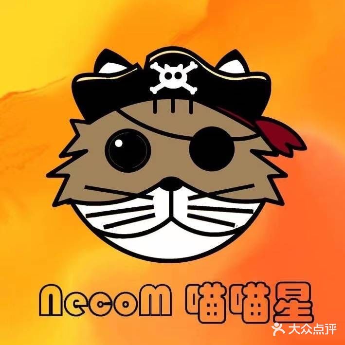 喵喵星皇星精品猫舍(恒泰豪庭店)