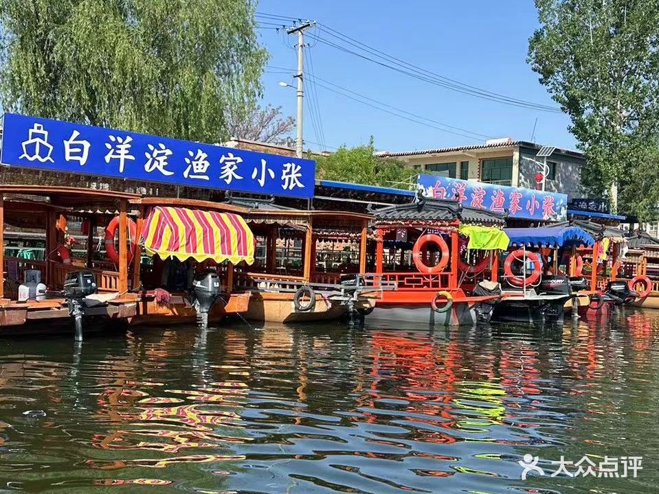 白洋淀渔家小张