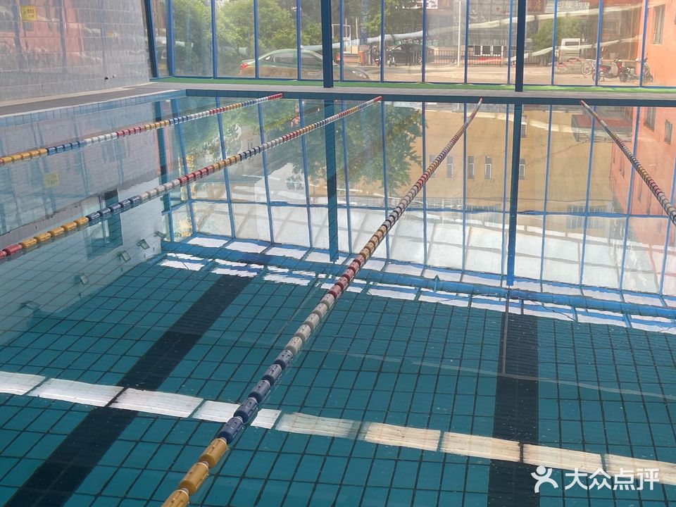 中体动力国际游泳健身