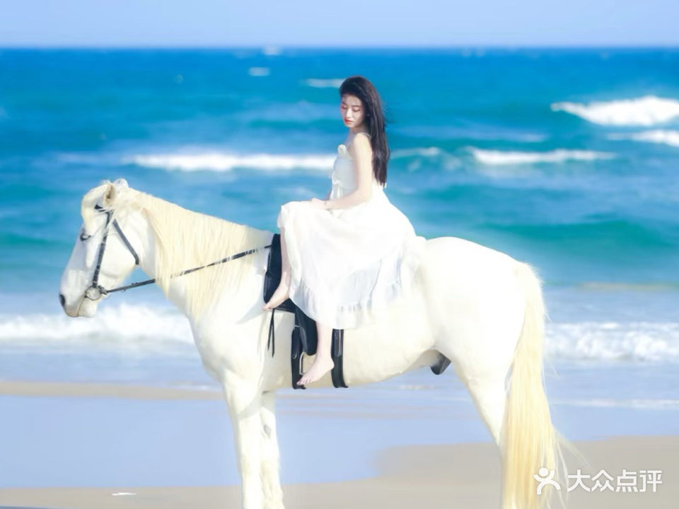 日月湾悠野海骑马术俱乐部