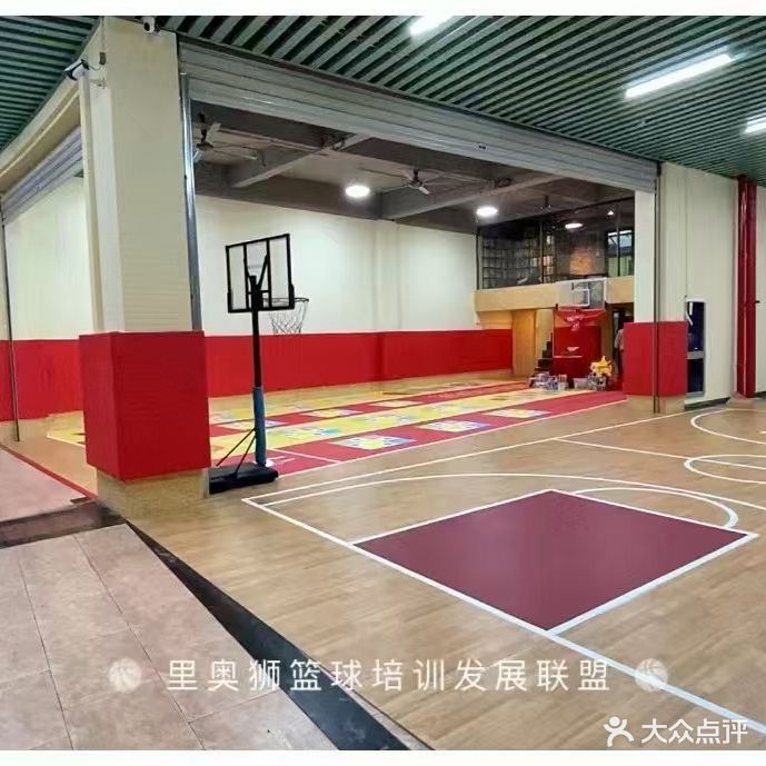 里奥狮篮球培训(加州馆)