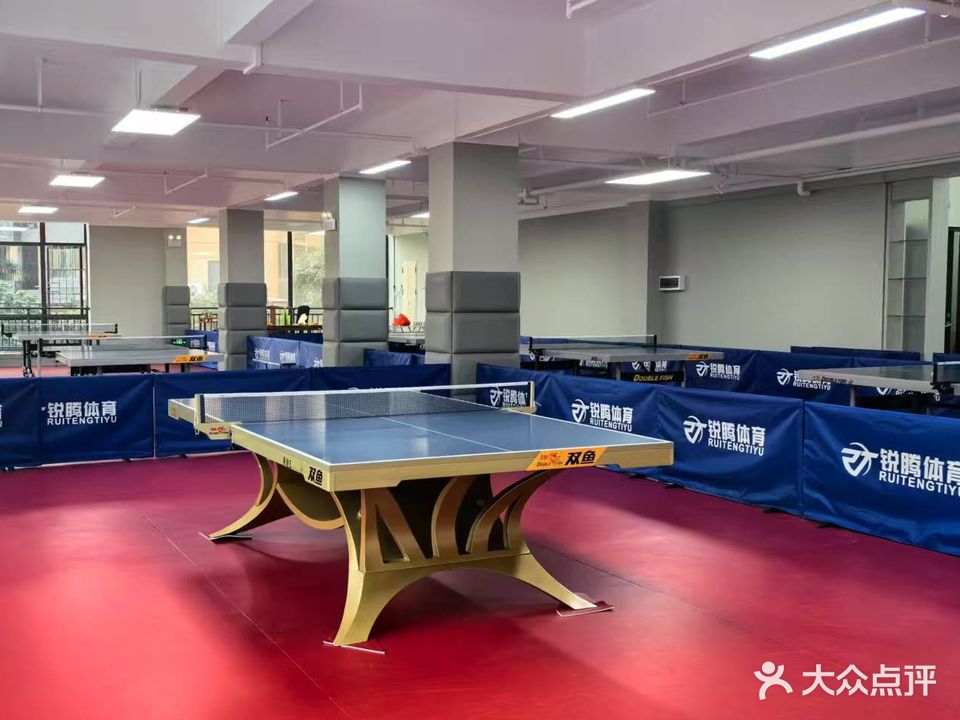 锐腾乒乓球馆