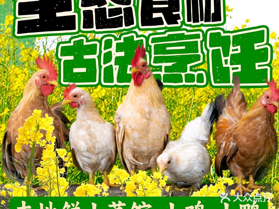 本地鲜土菜馆·土鸡·土鸭
