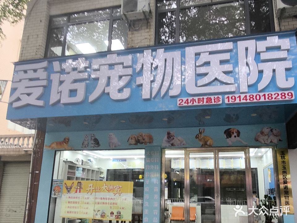 宠医生爱诺宠物医院(广场东路店)