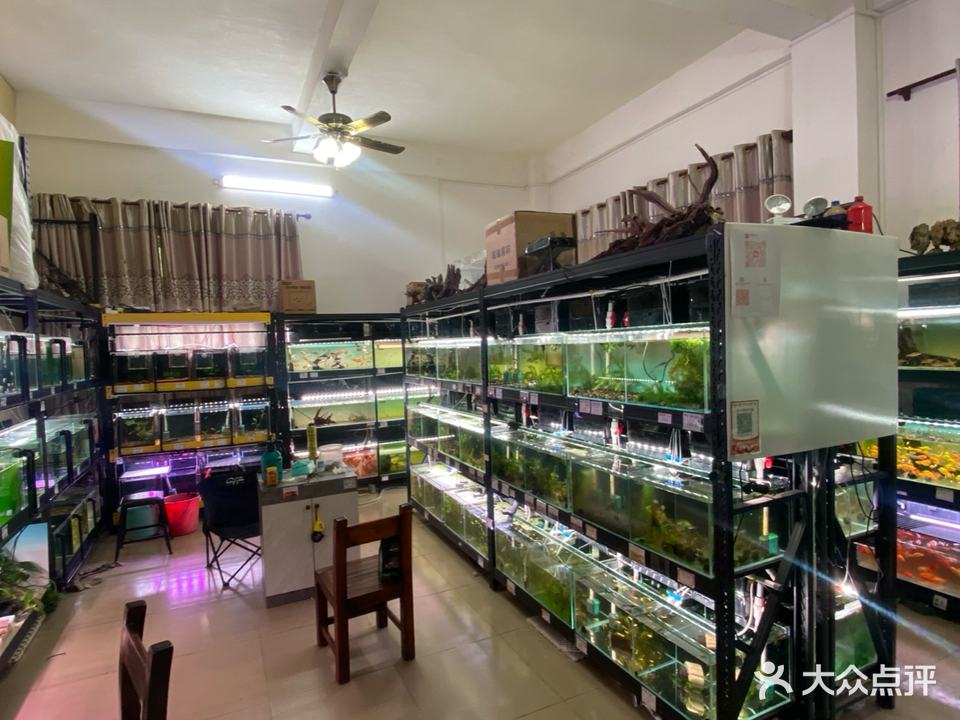 琼溪阁水族馆
