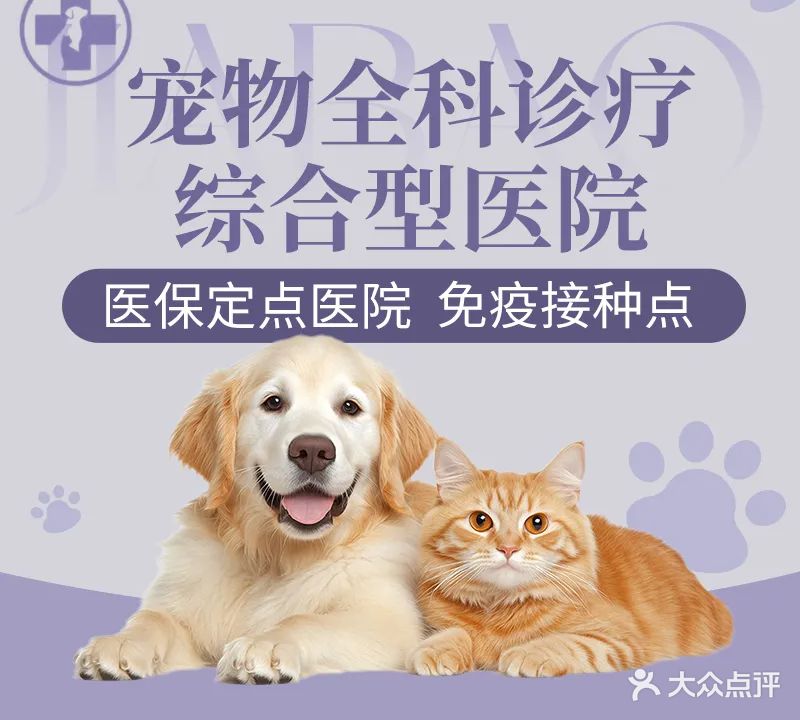 家宝动物医院·急重症转诊·骨科·异宠