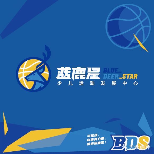 蓝鹿星少儿篮球公园