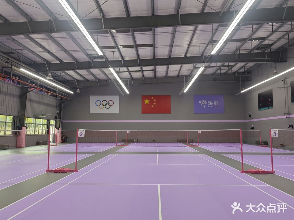 派羽羽毛球