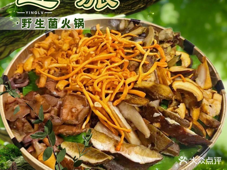 迎旅·清真野生菌火锅·大理老字号(五里桥店)
