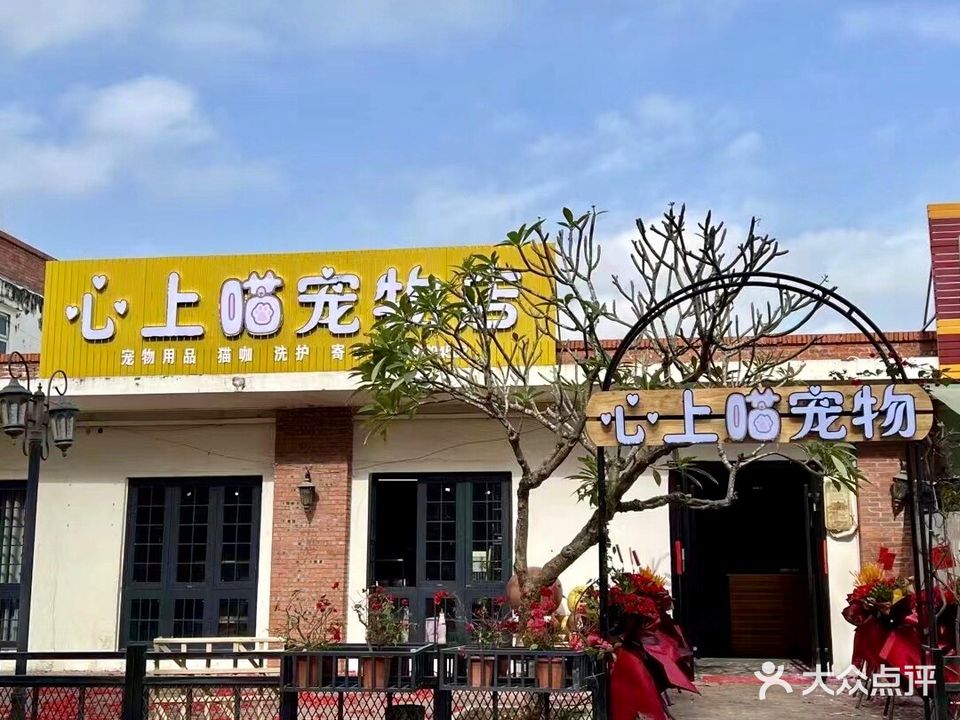 心上喵宠物店(安铺店)