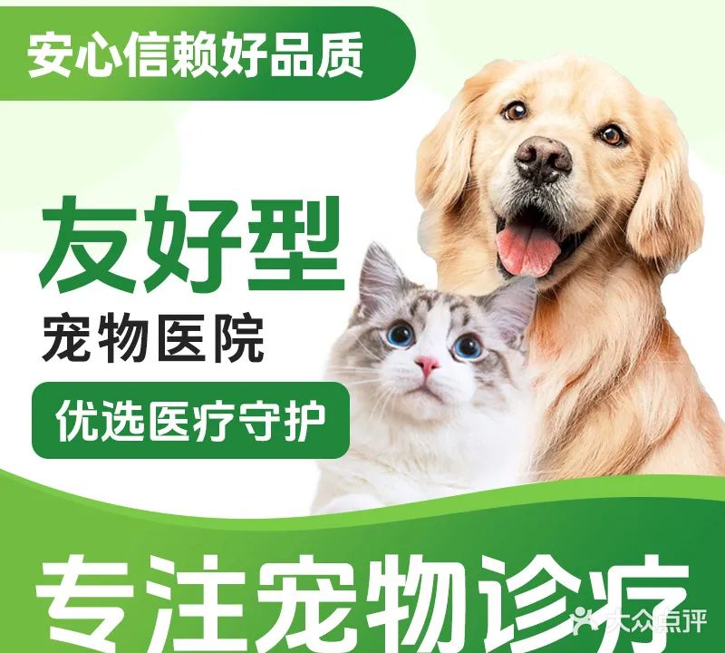友嘉动物医院