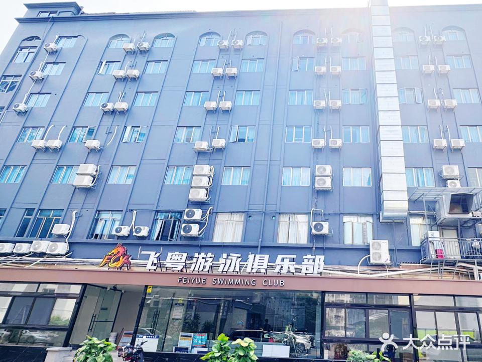 飞粤游泳俱乐部