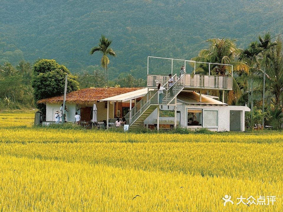 春山入簾稻田咖啡SpringCafe