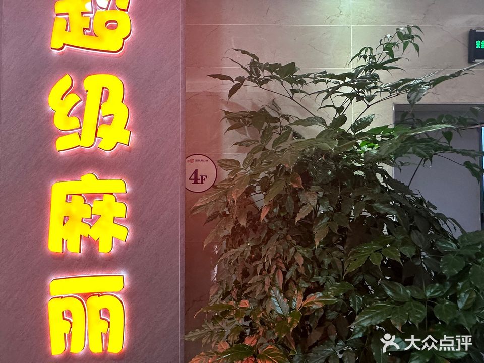 超级麻丽