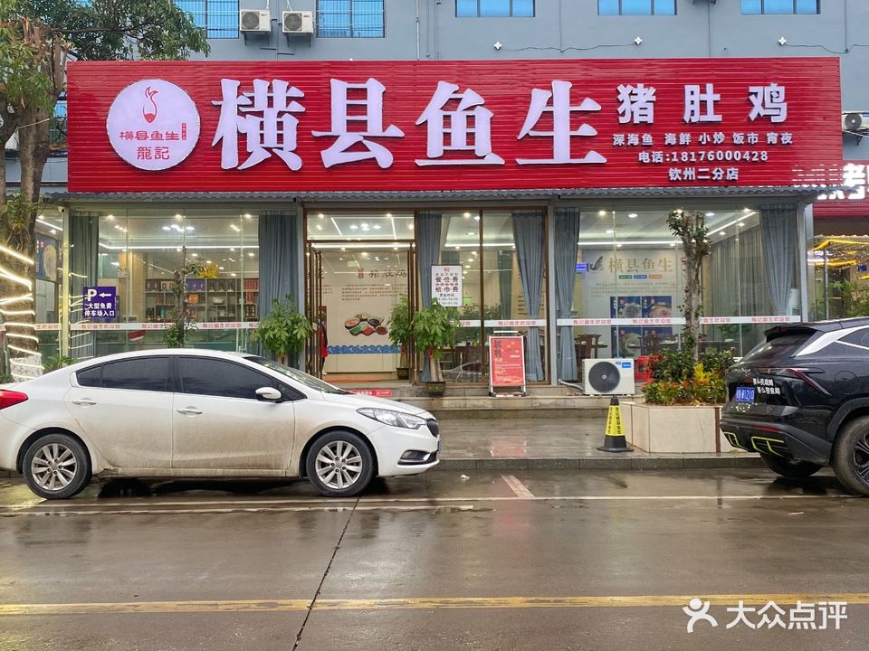 龙记横县鱼生(钦州二分店)