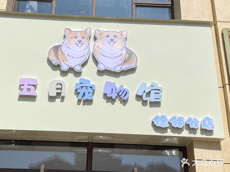 五月宠物馆