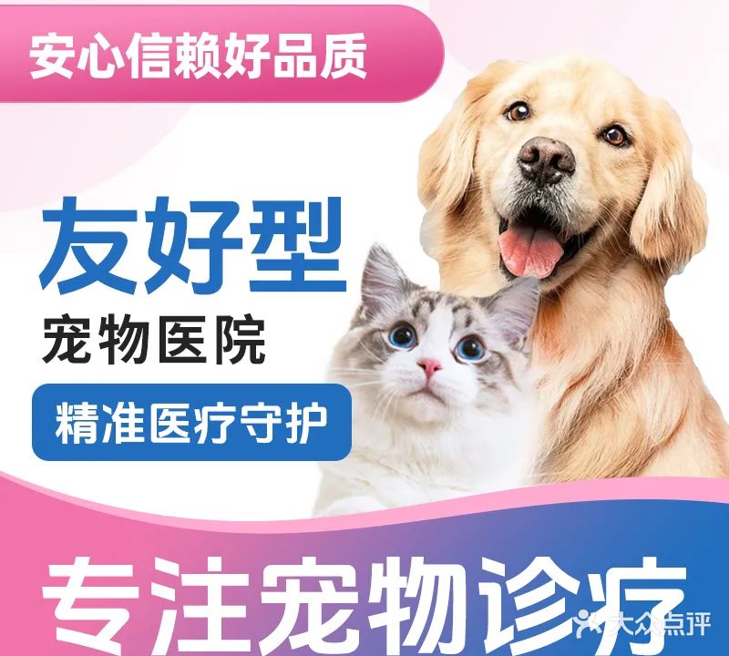 伴夏宠物诊疗中心