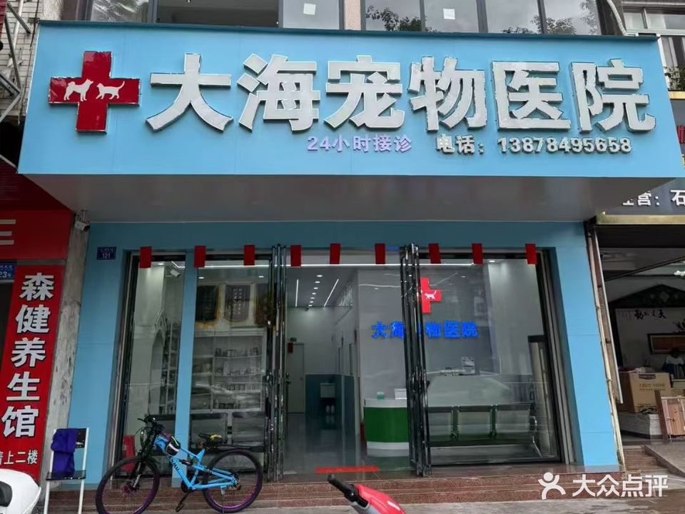 大海宠物店