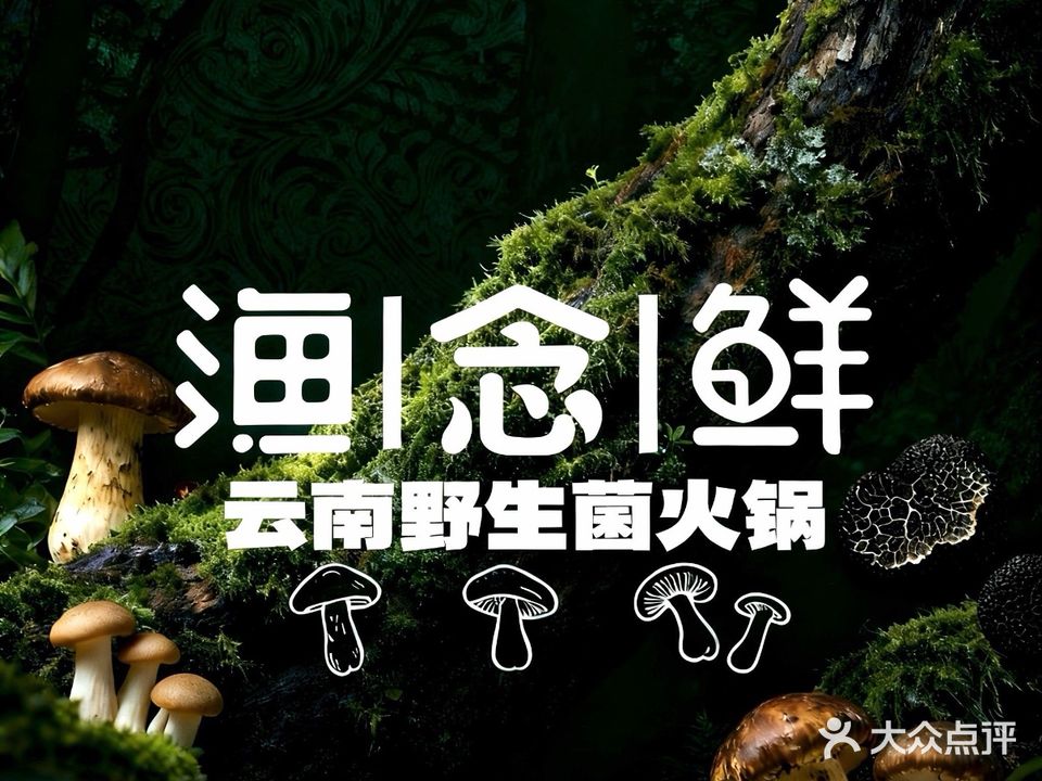 渔念鲜·云南野生菌火锅(清远顺盈店)