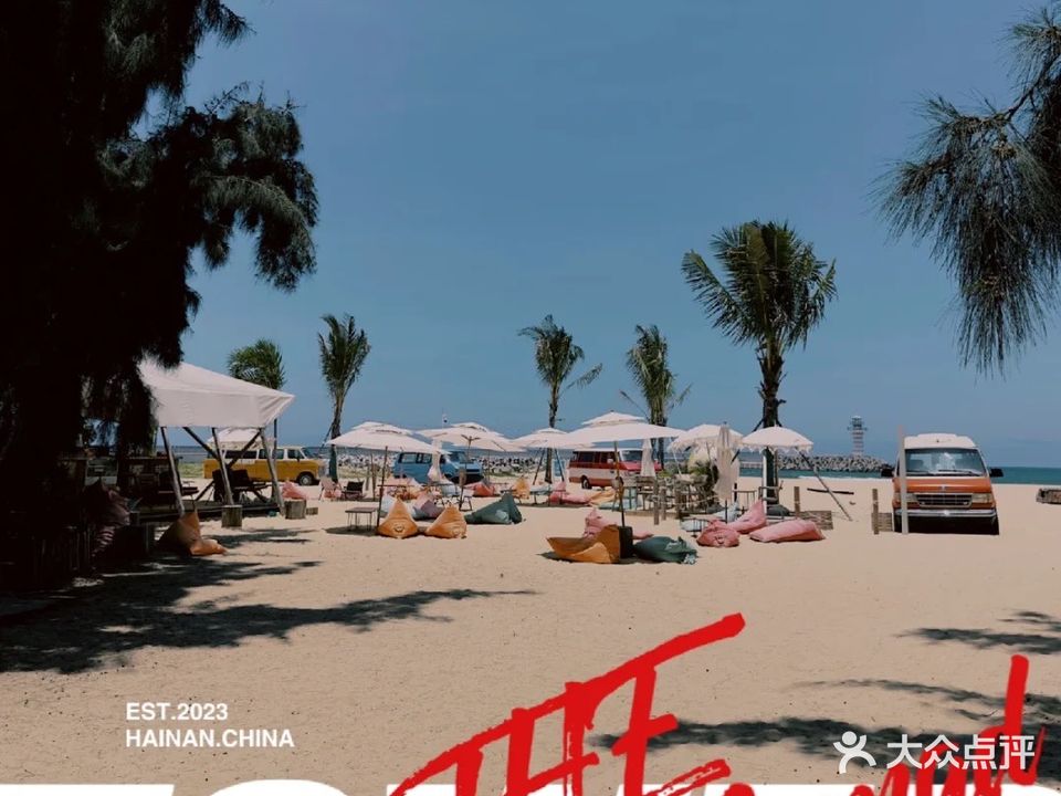 孤独鳍冲浪俱乐部