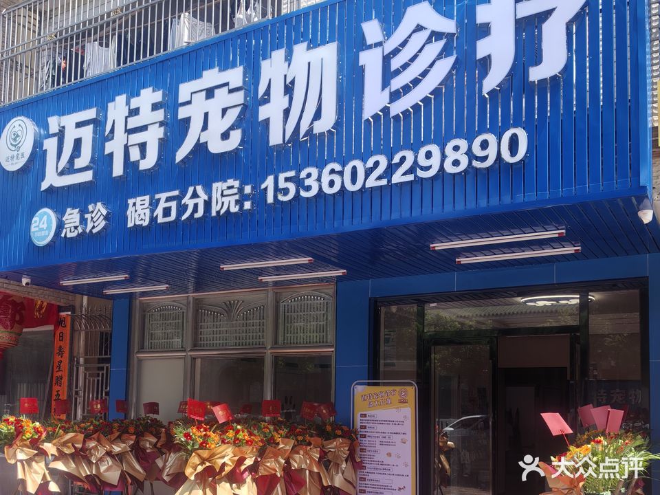 迈特宠物诊疗(碣石分院)