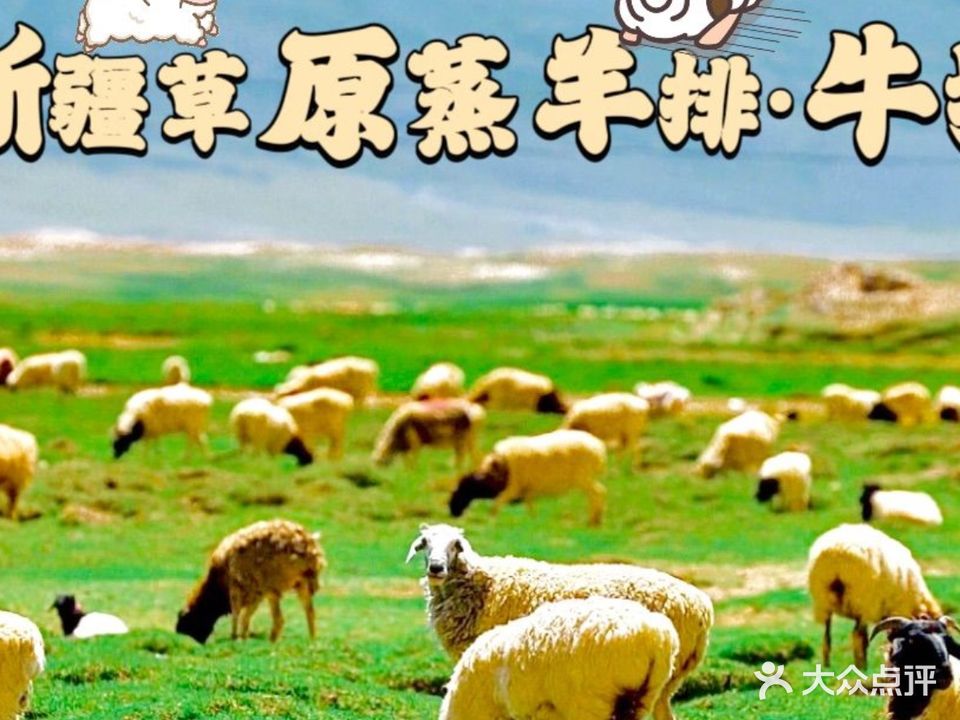 清真草原羊排·牛排