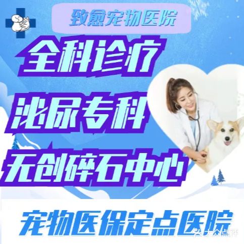 致愈宠物医院