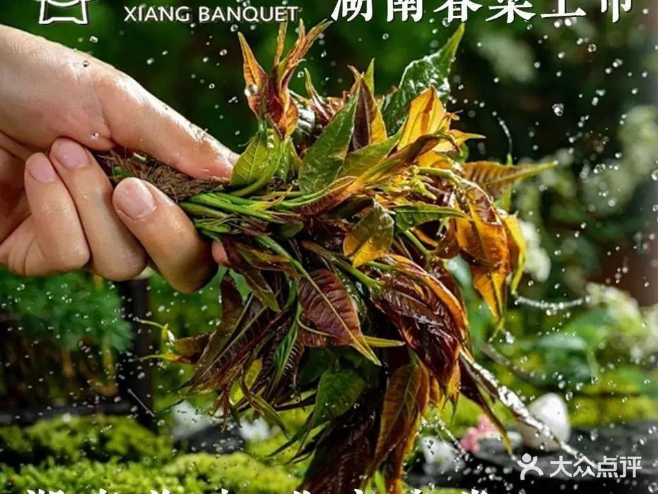 湘悦荷堂·时鲜湖南菜(鸟巢店)