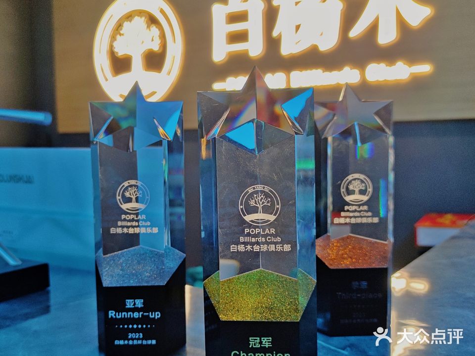 白杨木台球俱乐部(新造店)