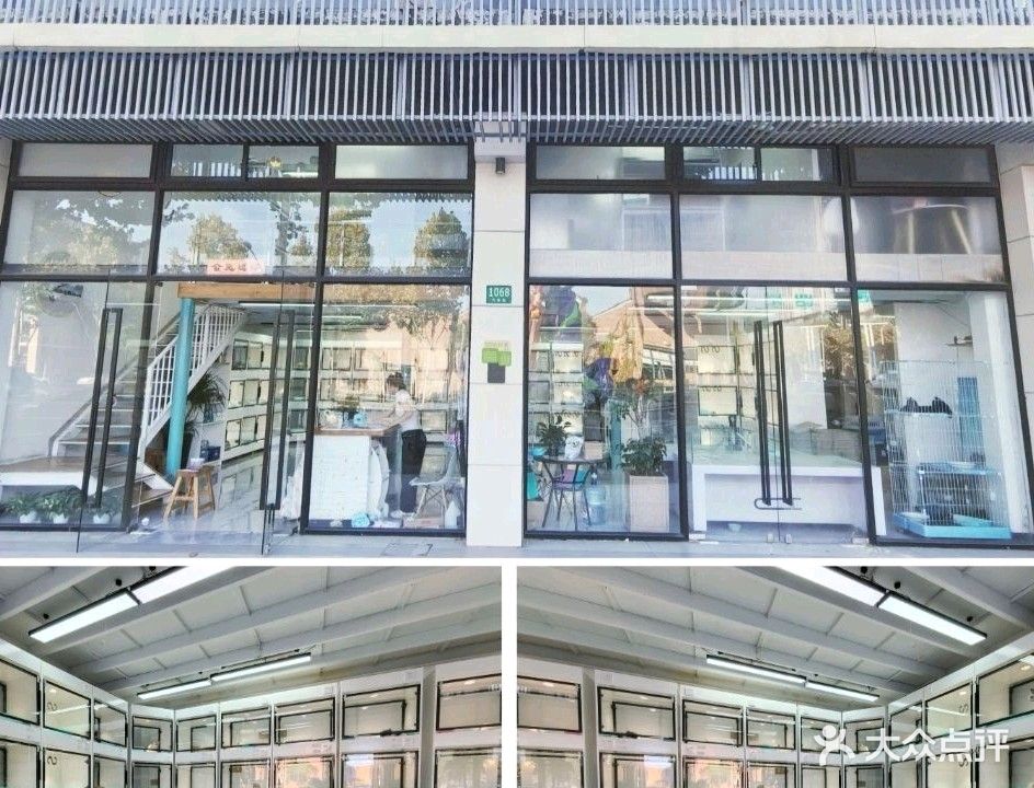 萌萌居精宠汇·宠物售卖·宠物托运(万达店)